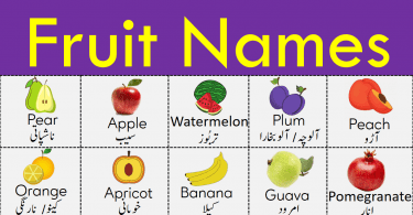 Fruit Names Vocabulary in Urdu with Pictures