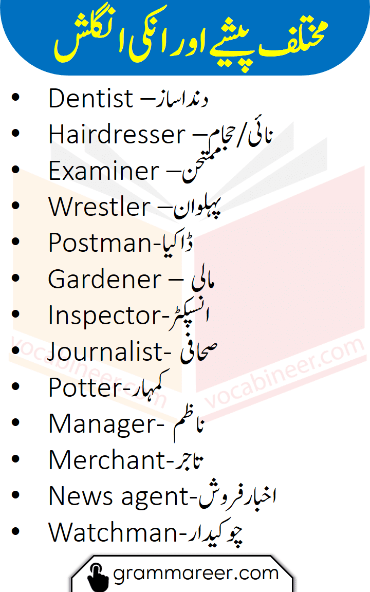 Professions Vocabulary Words List In English And Urdu Grammareer