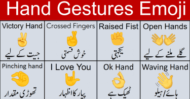 Hand Gesture Emoji Meanings with Pictures in Urdu