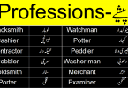 Professions Vocabulary Words List in English and Urdu, Occupations list in Urdu, Occupations vocabulary words in Urdu
