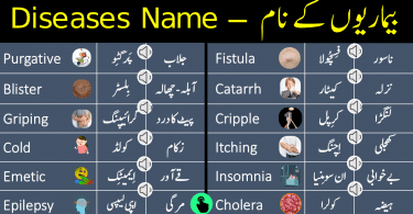 Diseases Names in English With Urdu Meanings, diseases dictionary in Urdu, diseases in Urdu, diseases name list in Urdu and English, diseases names in Urdu, diseases names list Urdu, Diseases vocabulary in Urdu, heza disease in Urdu