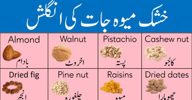 Dry Fruits Vocabulary List with Meanings in Urdu learn common dry fruits names in English and Urdu with pictures list of names of dry fruits in Pakistan and India with their Urdu meanings