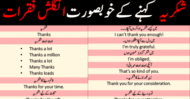 English Sentences in Urdu to Say THANKS