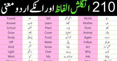 210 basic english vocabulary words with Urdu meanings