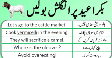 English Speaking Practice in Urdu to Talk about Eid ul Azha, Eid ul Adha English sentences with Urdu and Hindi translation