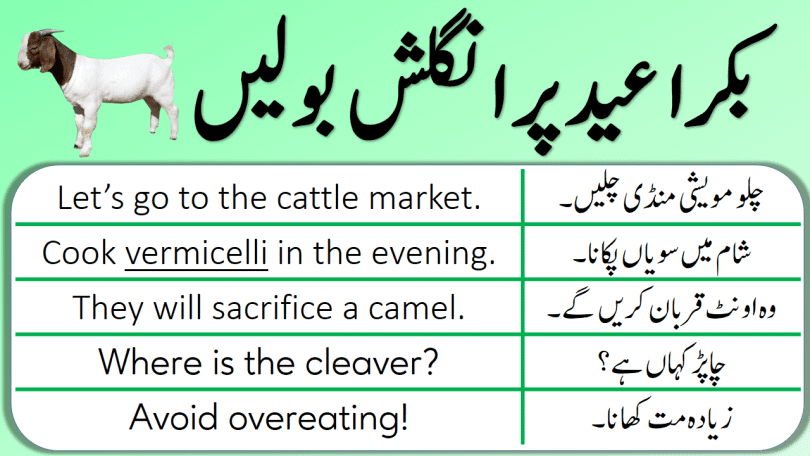 English Speaking Practice in Urdu to Talk about Eid ul Azha, Eid ul Adha English sentences with Urdu and Hindi translation