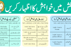 How to Express Wishes in English Explained in Urdu