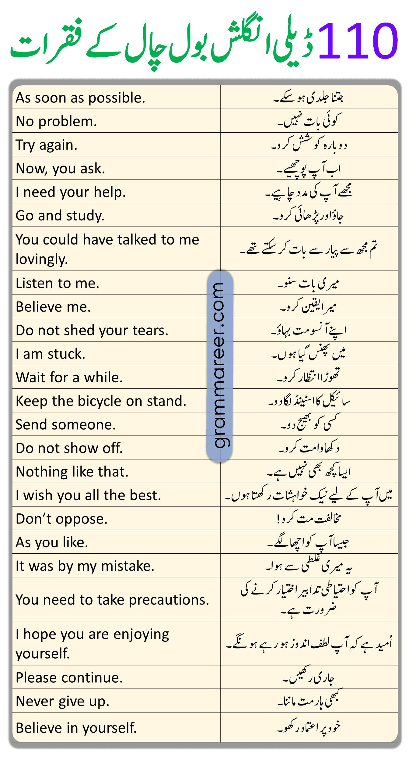 110 English to Urdu Sentences