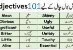 101 Common English Adjectives with Urdu Meanings and PDF
