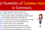 100 Examples of Common Nouns in Sentences