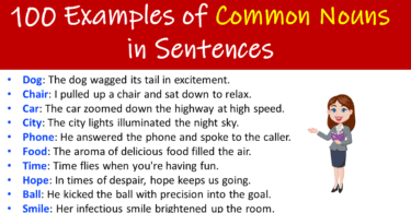 100 Examples of Common Nouns in Sentences
