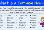 Common Noun Definition and Examples