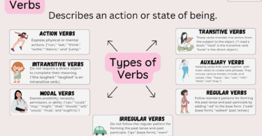 Types of Verbs with Examples in Englis