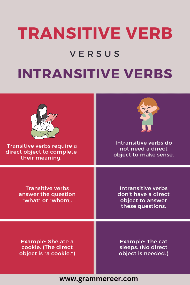 Types of Verbs with Examples in English