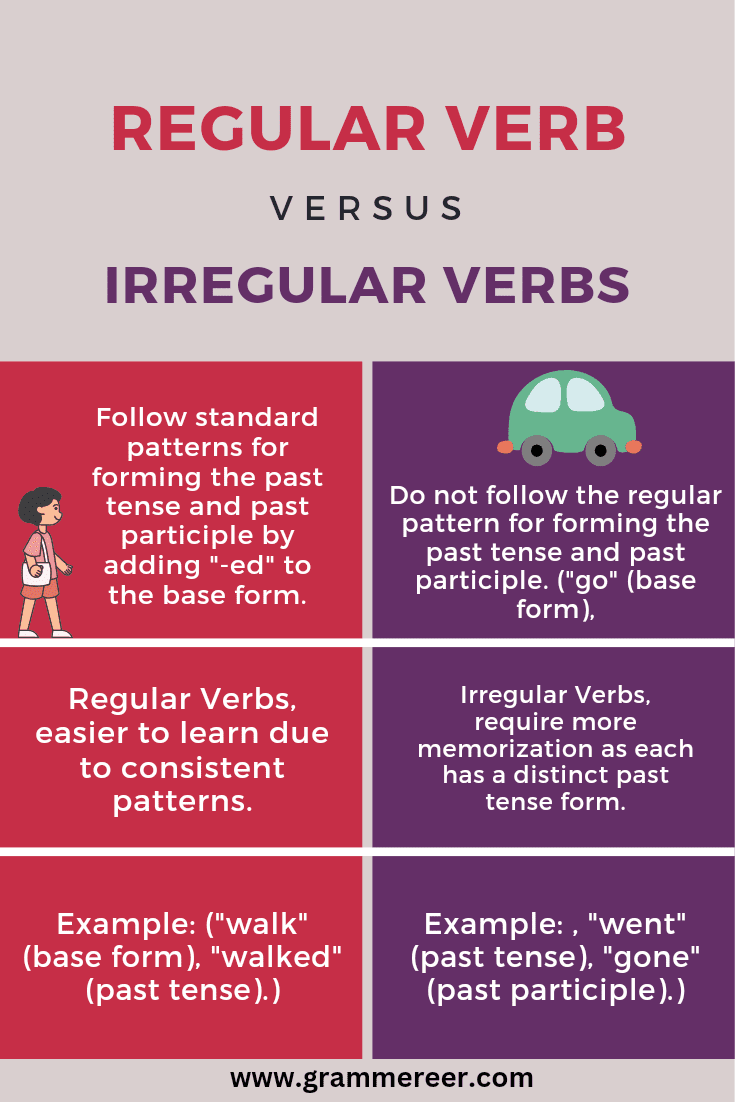 Types of Verbs with Examples in English