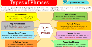 Types of Clauses with Examples.