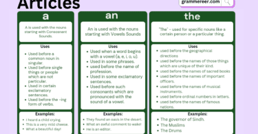Types of Articles with Examples in English