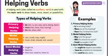 Helping Verbs: Definition, Types, and Examples
