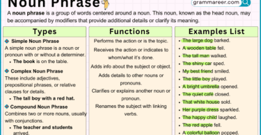 Noun Phrase examples and usage in English grammar.