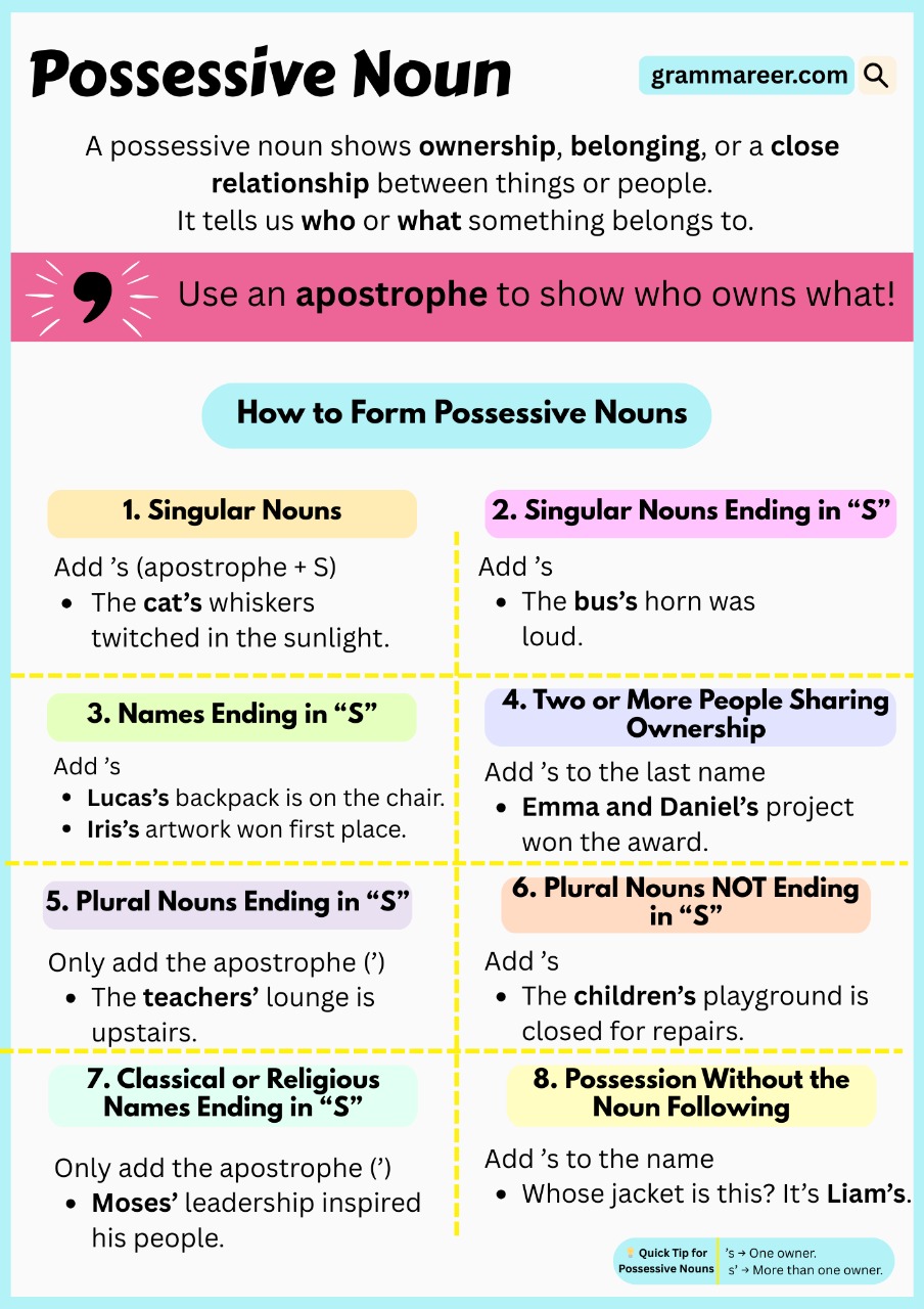 Possessive Nouns: Rules & Examples