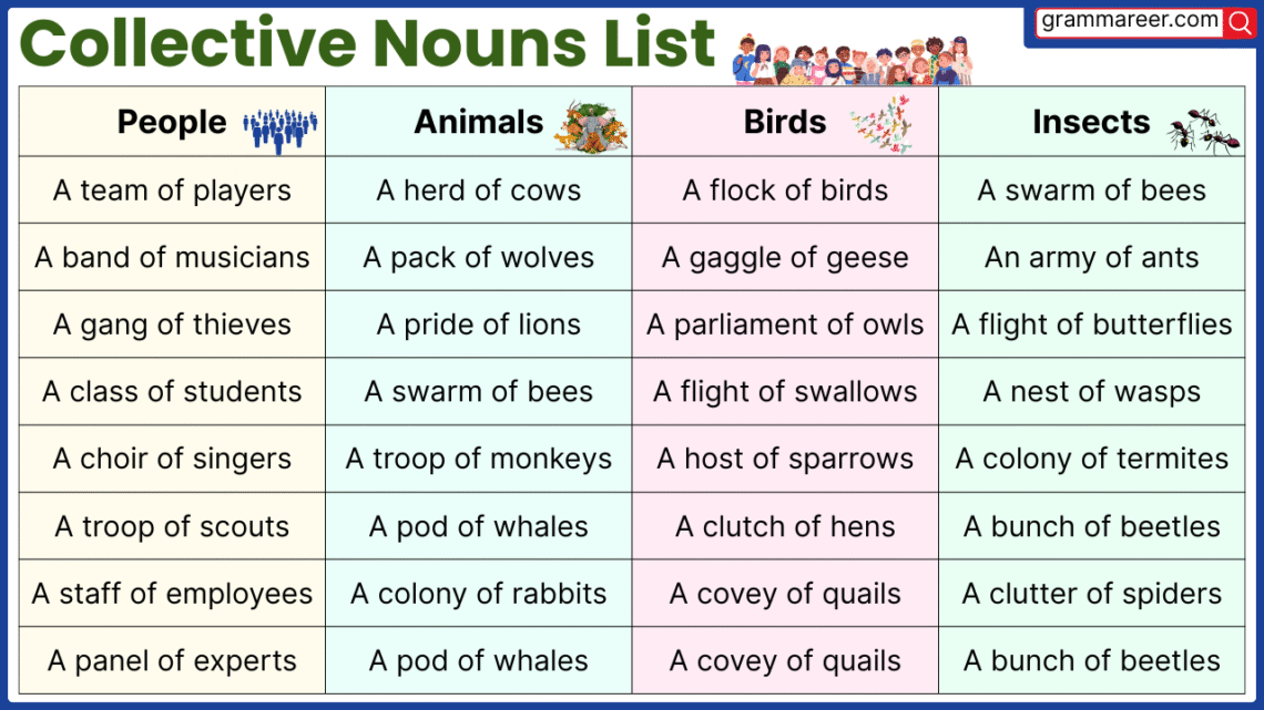 100 Collective Nouns List for People, Animals, and Objects examples
