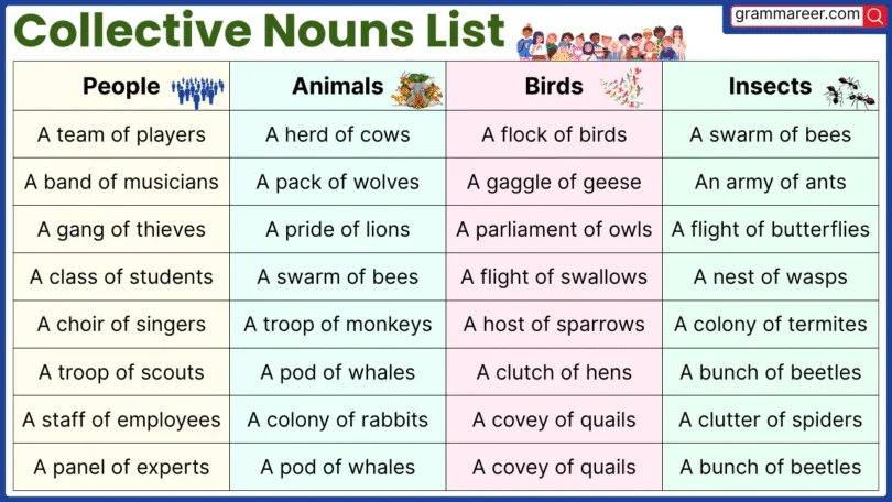 100 Collective Nouns List for People, Animals, and Objects examples