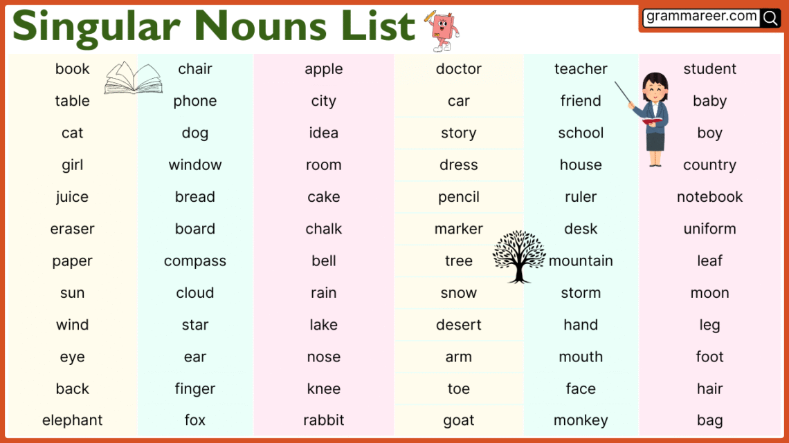 singular nouns list with examples and sentences in English