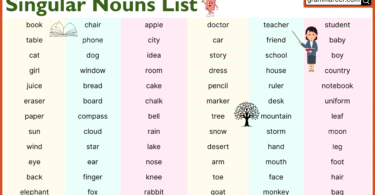 singular nouns list with examples and sentences in English
