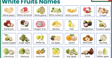 List of white fruits with pictures and names in English