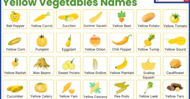 30 Yellow Vegetables Names with their Pictures