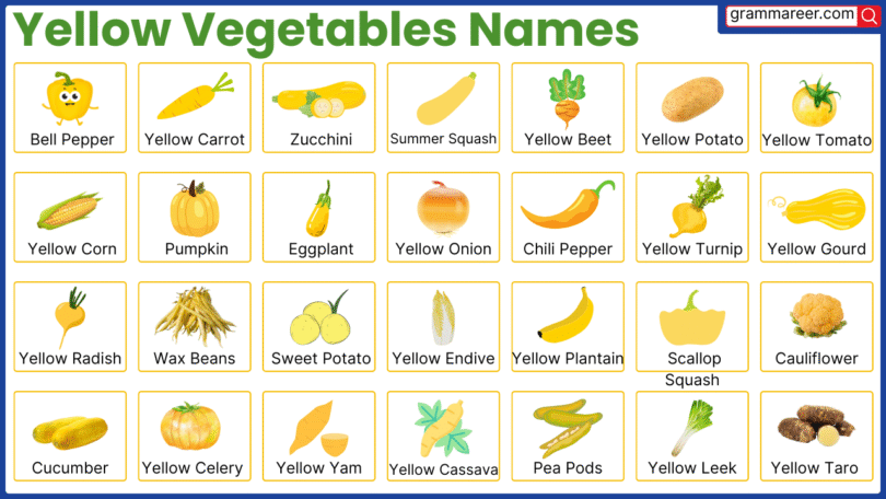30 Yellow Vegetables Names with their Pictures