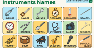 Instruments Names: List in English with Pictures