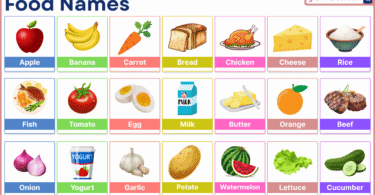 Food names in English with pictures for beginners