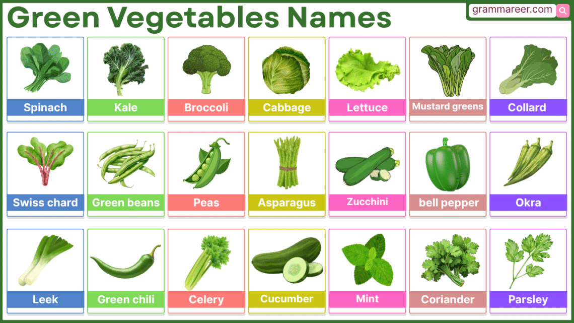 Green vegetables names in English with full list and pictures