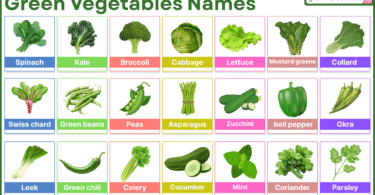 Green vegetables names in English with full list and pictures