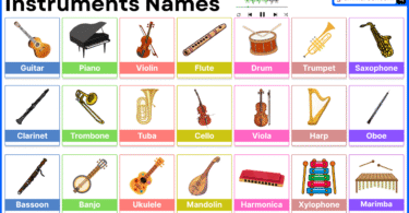 Musical instrument names and their sounds with Pictures