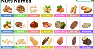 Nuts Names in English with Full List – Illustrated Vocabulary