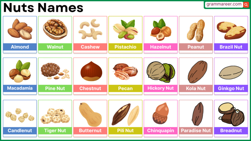 Nuts Names in English with Full List – Illustrated Vocabulary