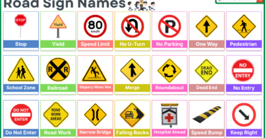 Road Signs Names in English with Visual Guide
