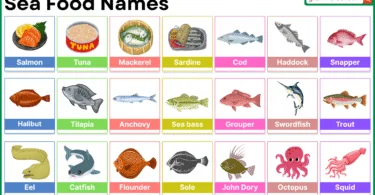 50 Seafood Names in English with Full List – Illustrated Vocabulary