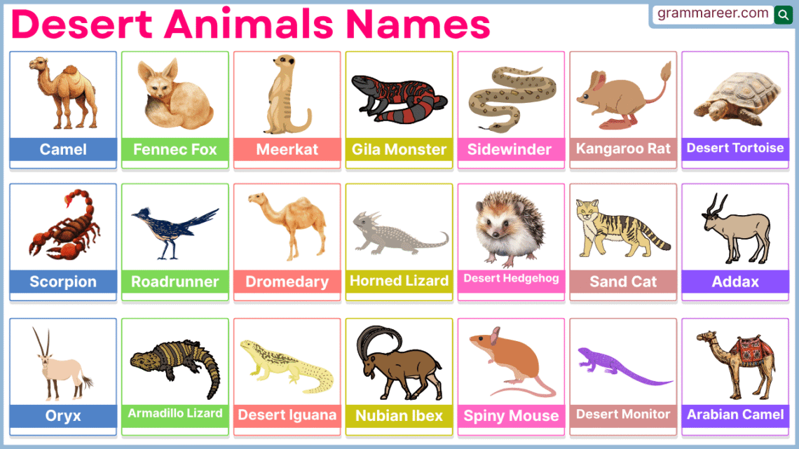 Desert Animals Names with examples of mammals, reptiles, and birds in dry regions