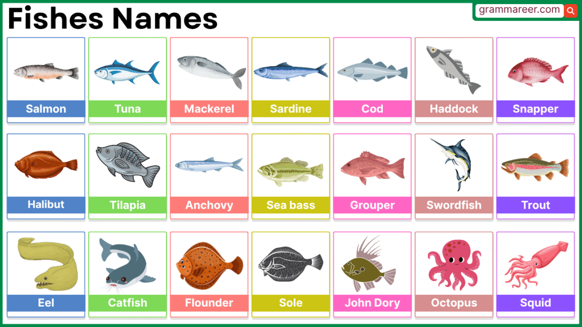 Fish Names in English with Pictures: Complete List