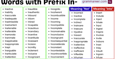 Words with prefix in – meaning and examples list for learners