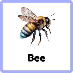 Honey Bee