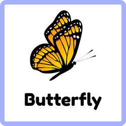Beautiful Butterfly