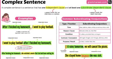 Complex Sentence Definition, Uses, and Example