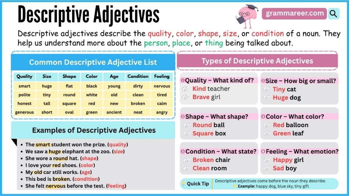 Descriptive Adjectives: List, Types & Examples