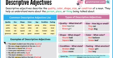 Descriptive Adjectives: List, Types & Examples