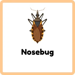 Nosebug