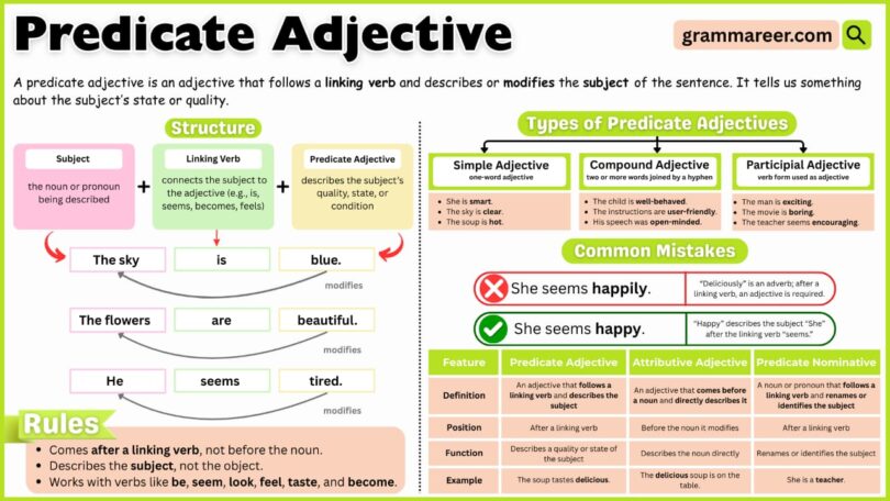 What Is a Predicate Adjective? Definition, List, and Examples - Grammareer